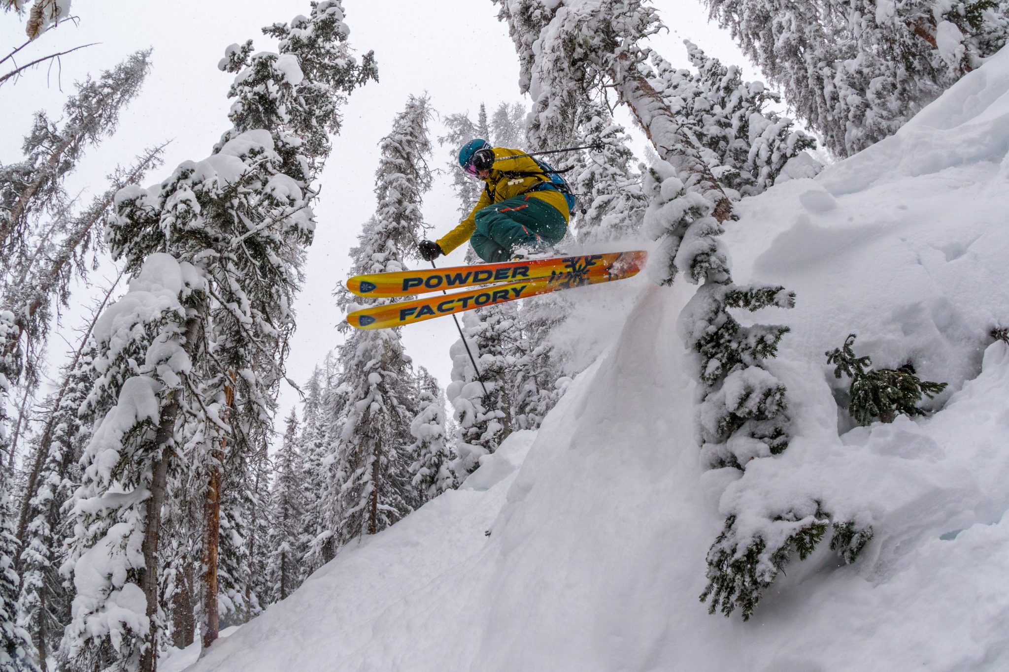 Monarch Cat Skiing - January 24, 2018 - Photographer: Casey Day
