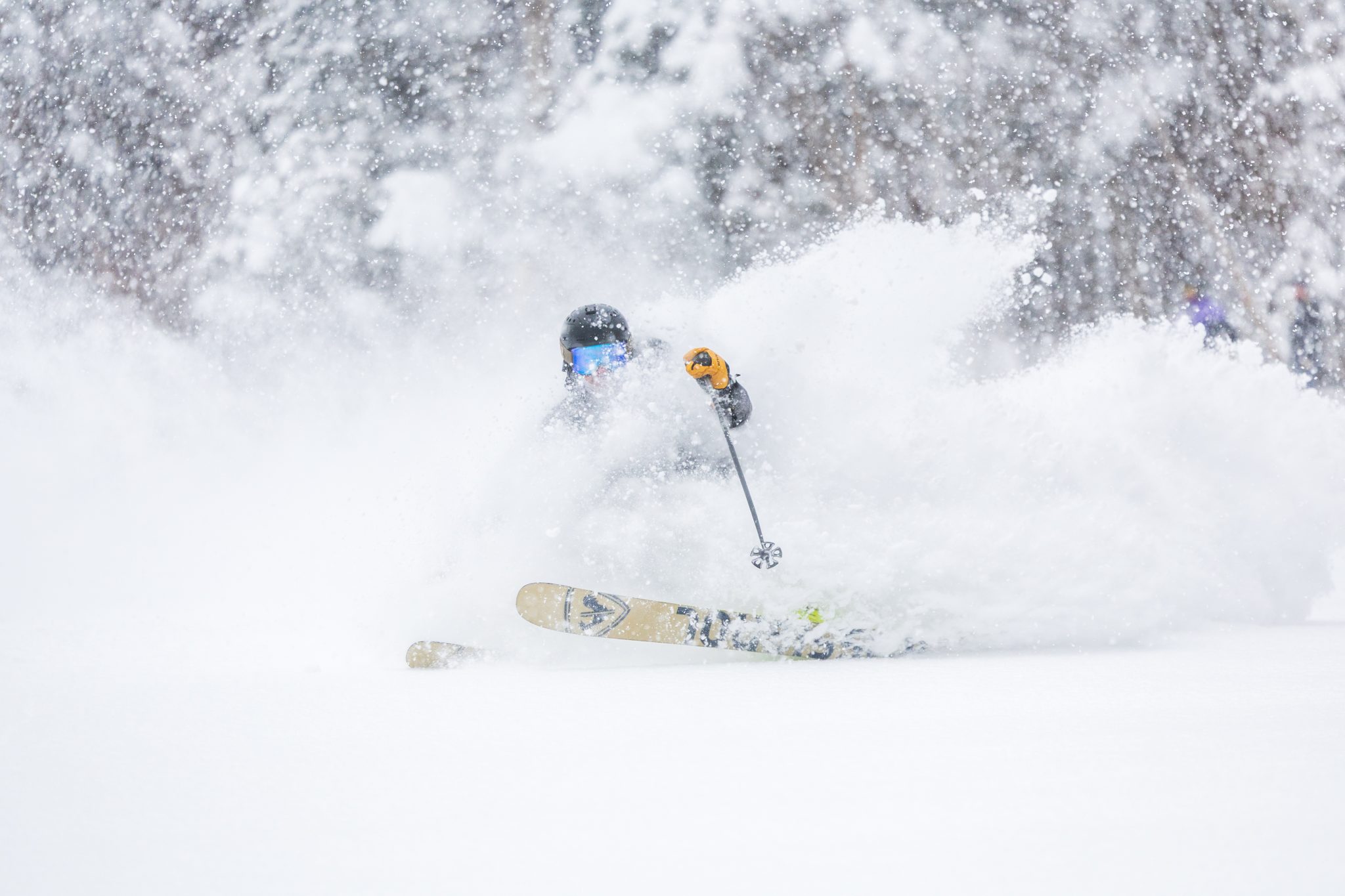 Whiteface - Powder Ski Turn